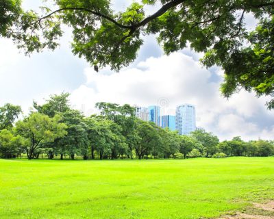 green-city-park-bangkok-thailand-33751519